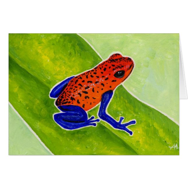 Strawberry Poison Dart Frog (Voorkant Horizontaal)