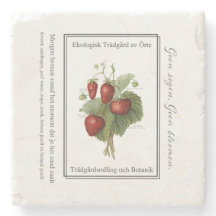 Strawberry seedling is a Christmas tree