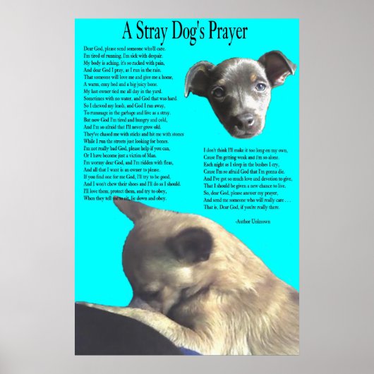Stray Dog's gebed Poster (Voorkant)