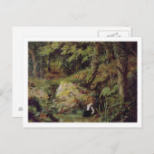 Straykonijnen Briefkaart (Voorkant / Achterkant)