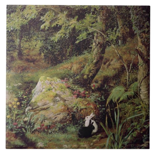 Straykonijnen Tegeltje (Voorkant)