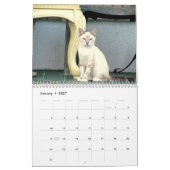 Strays Agenda Kalender (Jan 2027)