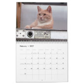 Strays Agenda Kalender (Feb 2027)