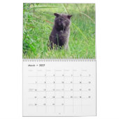 Strays Agenda Kalender (Mar 2027)