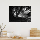 Streak van licht poster (Keuken)