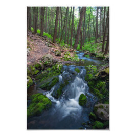 Stream Along the Trail Foto Afdruk