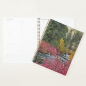 Stream Blooms Planner (Display)
