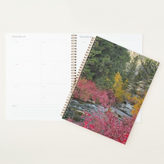 Stream Blooms Planner (Devant avec enveloppe)