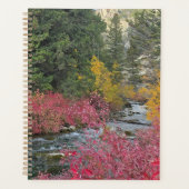 Stream Blooms Planner (Devant)