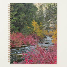 Stream Blooms Planner