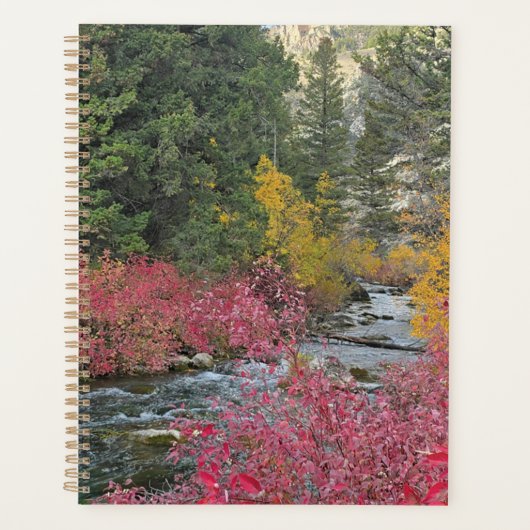 Stream Blooms Planner (Voorkant)