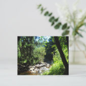 Stream Briefkaart (Staand voorkant)