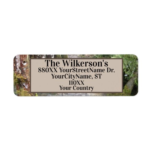 Stream in een Pacifisch noordwestbos Etiket (Voorkant)