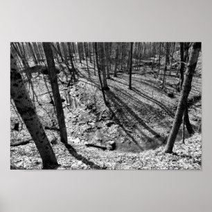 Stream in Highbanks Metropark (zwart/wit) Poster
