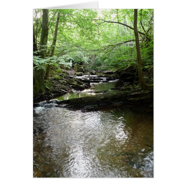 "Stream in Northumberland Bossen" (2) (Voorkant)