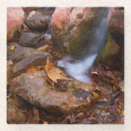 Stream in Payson, Arizona Glazen Onderzetter