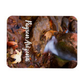 Stream in Payson, Arizona Magneet (Horizontaal)
