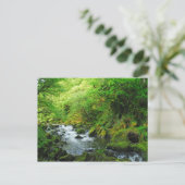 Stream in Springtime Briefkaart (Staand voorkant)