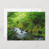 Stream in Springtime Briefkaart (Voorkant / Achterkant)