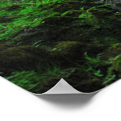 Stream in Springtime Poster (Hoek)