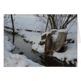 Stream in Winter