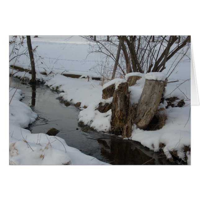 Stream in Winter (Voorkant Horizontaal)