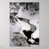 Stream in Winter Poster (Voorkant)