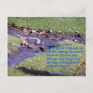 STREAMS BRIEFKAART