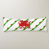 Streepjesvlag Lichaamskussen (Voorkant)