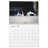 Street Cats Photo Wall Calendrier (Feb 2026)