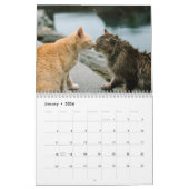 Street Cats Photo Wall Calendrier (Jan 2026)