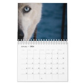 Street Dogs Kalender (Jan 2026)