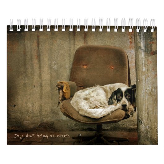 Street Dogs Kalender (Hoes)