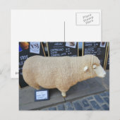 Street Sheep Briefkaart (Voorkant / Achterkant)