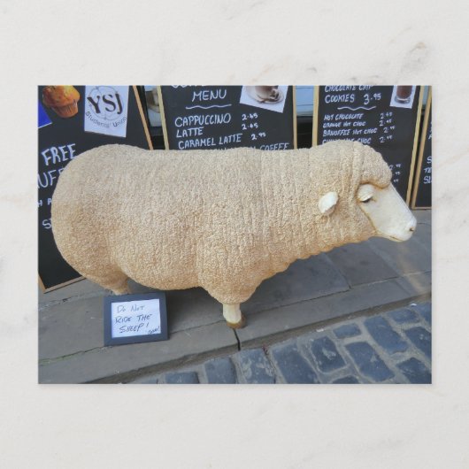 Street Sheep Briefkaart (Voorkant)