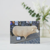 Street Sheep Briefkaart (Staand voorkant)