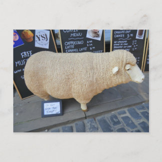 Street Sheep Briefkaart
