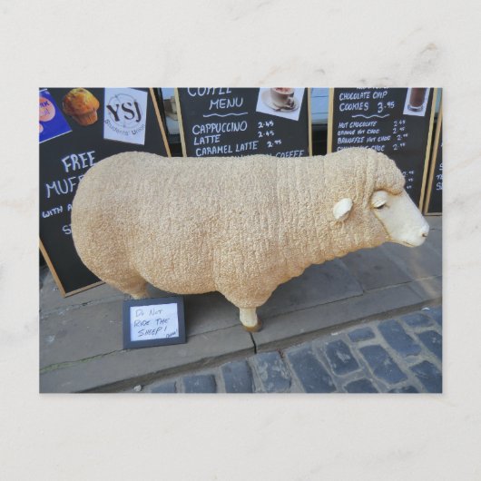 Street Sheep Briefkaart (Voorkant)