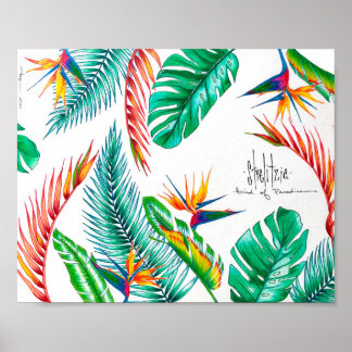 Strelitzia - Bird of Paradise Poster