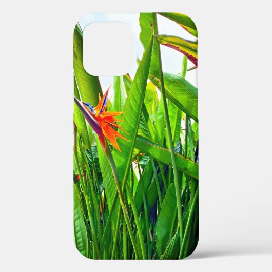Strelitzia Reginae & Leaves Case-Mate iPhone Case (Achterkant)