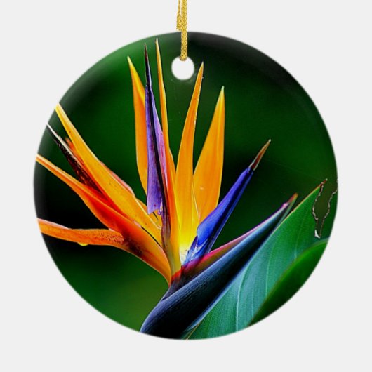 Strelitzia. Vogel van de paradijsbloem. Keramisch Ornament (Achterkant)