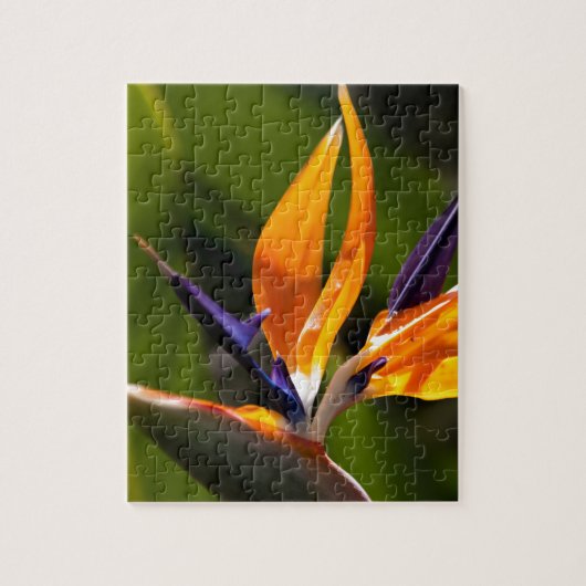 Strelitzia. Vogel van de paradijsbloem. Legpuzzel (Verticaal)