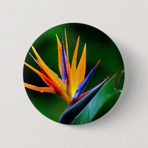 Strelitzia. Vogel van de paradijsbloem. Ronde Button 5,7 Cm