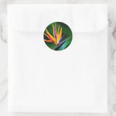 Strelitzia. Vogel van de paradijsbloem. Ronde Sticker (Tas)