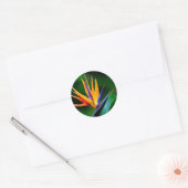 Strelitzia. Vogel van de paradijsbloem. Ronde Sticker (Envelop)