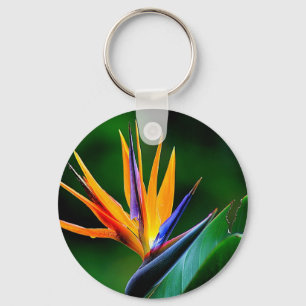 Strelitzia. Vogel van de paradijsbloem. Sleutelhanger