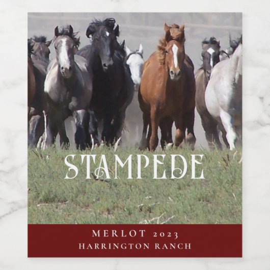 strempede Westerne Etiketten voor aangepaste wijn (Enkel label)