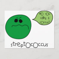 Streptococcus