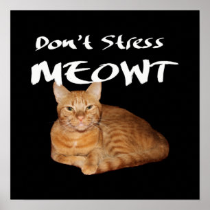 Stress Meowt niet - Oranje kat zet me uit Poster