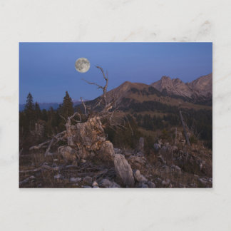 Stress van de nacht briefkaart